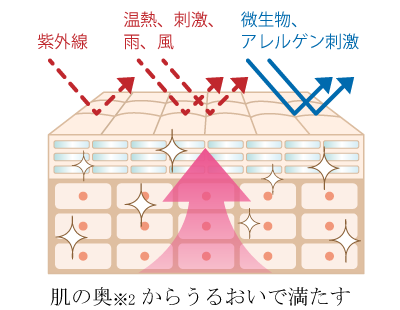 肌図