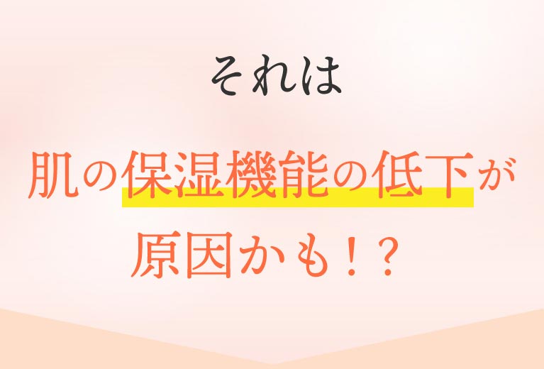 それは保湿機能の低下が原因かも