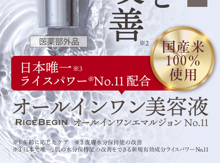 ライスビギンオールインワンエマルション
