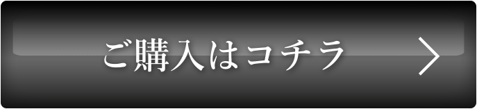 税込み8,800円で購入